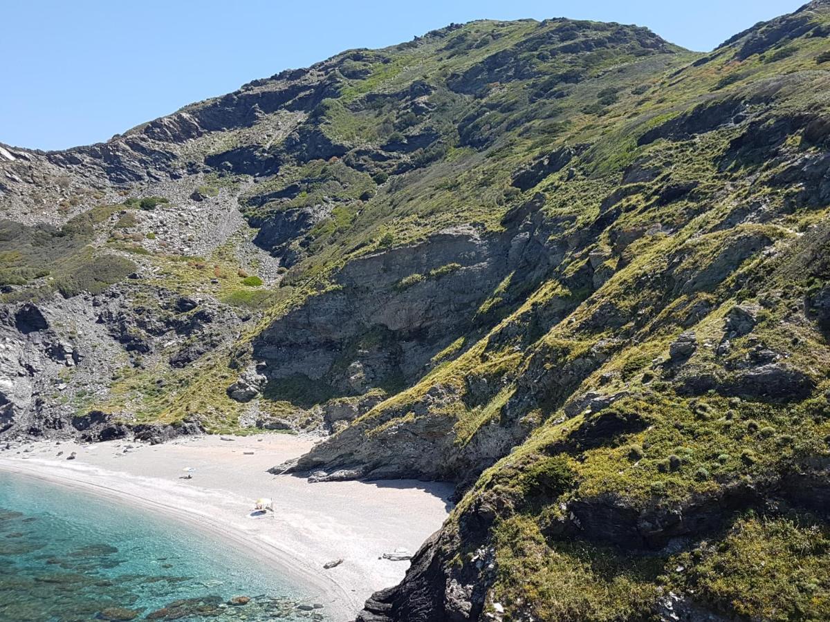 Le Palme Holidays Palmadula Eksteriør billede