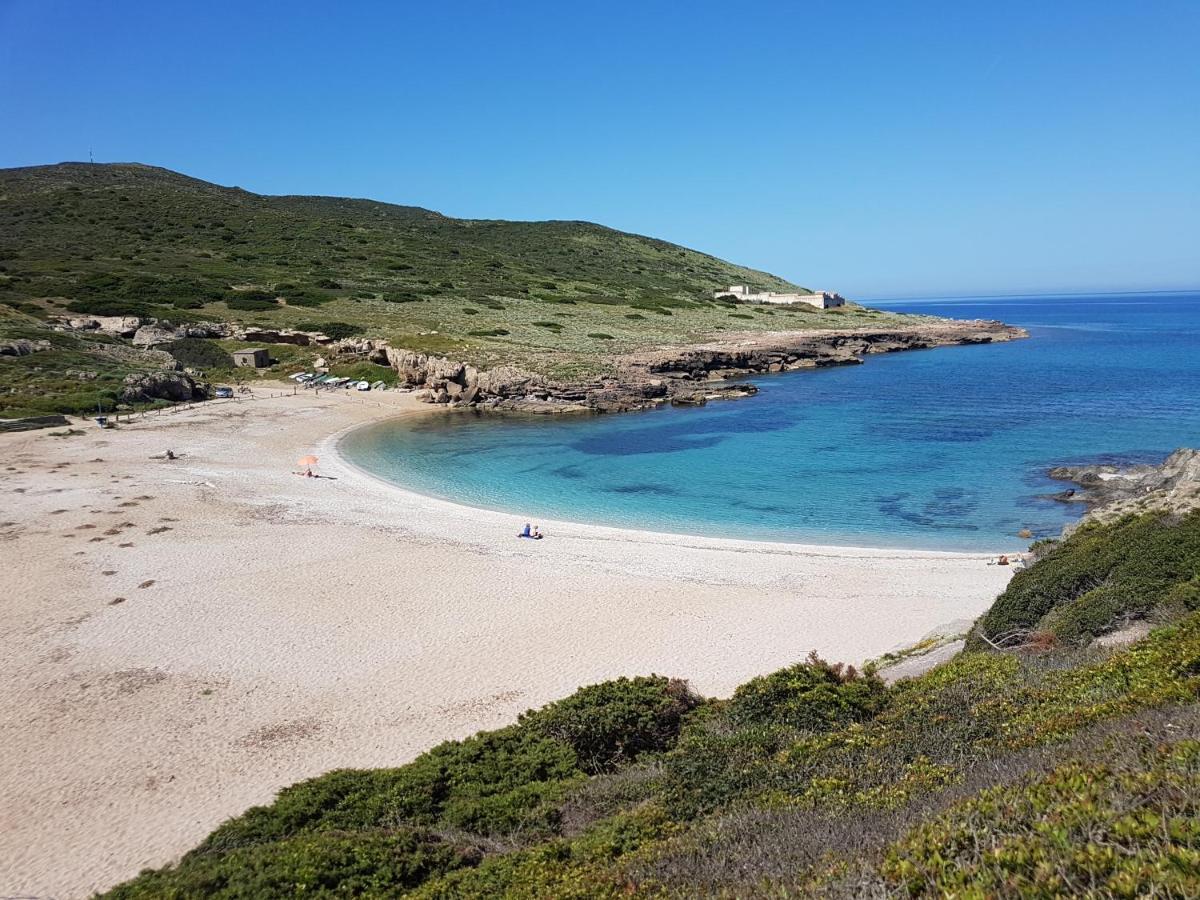 Le Palme Holidays Palmadula Eksteriør billede